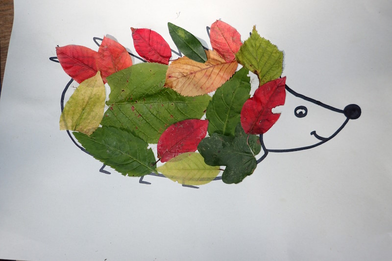 Ein Blätterbild zeigt einen Igel