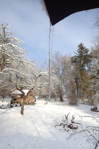 Verschneite Waldwiese mit Hütte