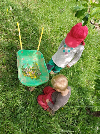 Zwei Kinder Suchen Blumen in der Wiese und sammeln sie in einer kleinen Schubkarre