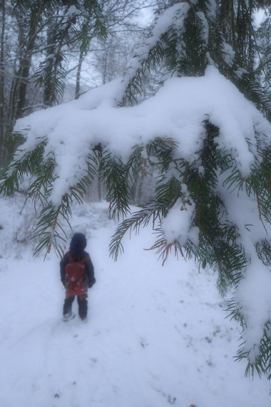 Verschneiter Weg im Wald mit Kindergartenkind