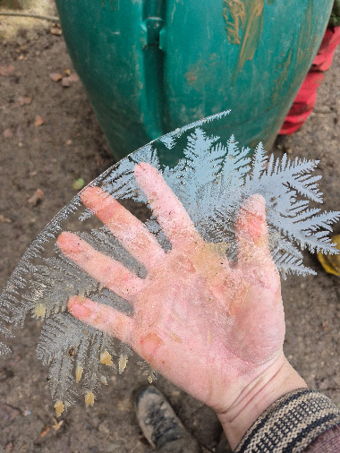 Dünne Eisscheibe mit Muster in der Hand eines Kindes.